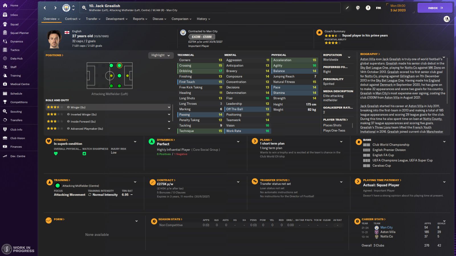 Football Manager 2025 Mobile Pc